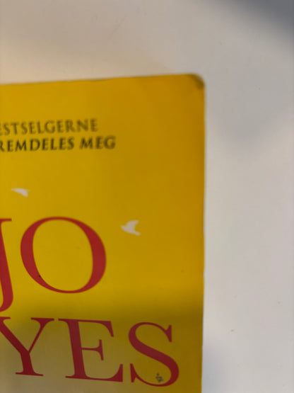 Moyes, Jojo: Jenta som ble igjen
