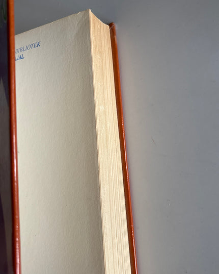 Ahern, Cecelia: Der regnbuen ender