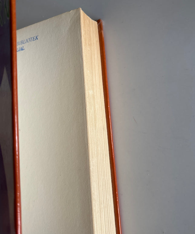 Ahern, Cecelia: Der regnbuen ender