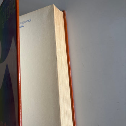Ahern, Cecelia: Der regnbuen ender