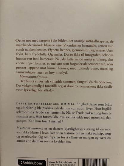 Lorentzen, Trude: Mysteriet mamma
