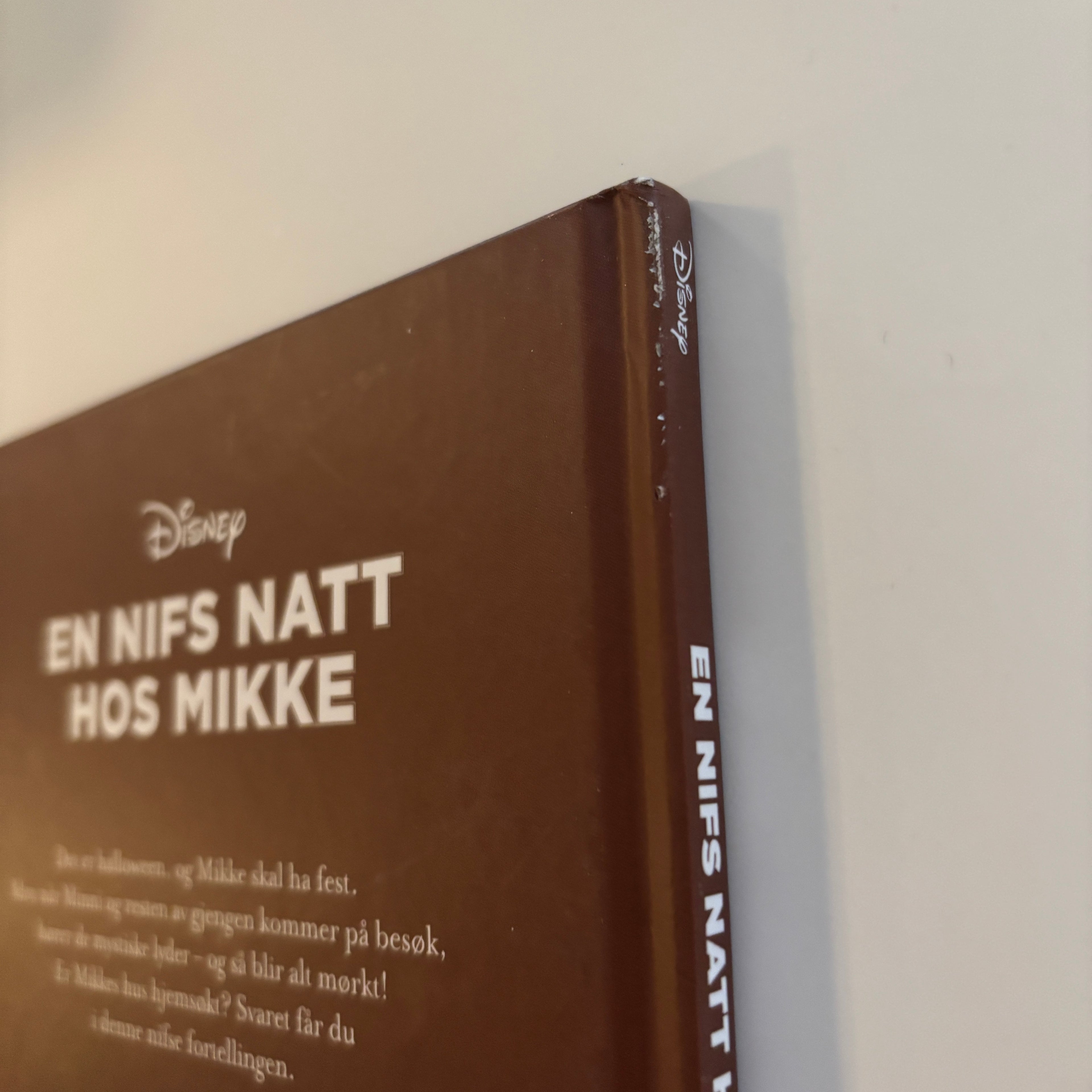 Disney - En nifs natt hos Mikke