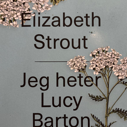 Collection image for: Bøker av Elizabeth Strout