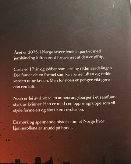Borge, Nina: Utbryterne