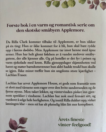 Rachael Lucas: Vinter i Applemore (innbundet)
