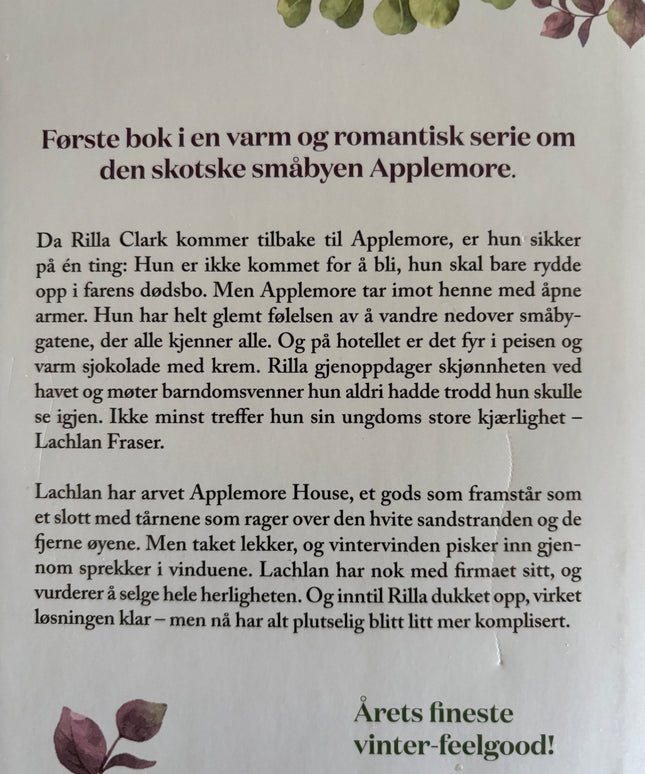 Lucas, Rachael: Vinter i Applemore