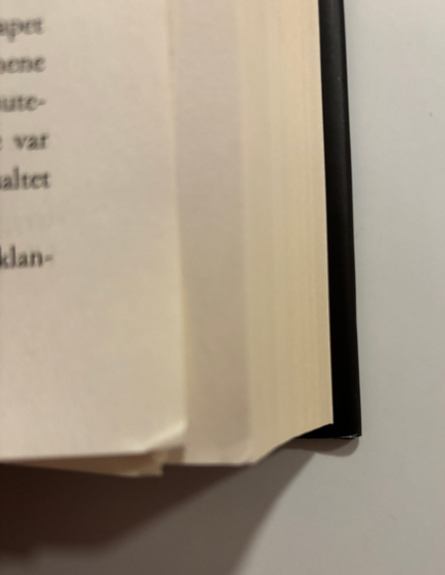 Bardugo, Leigh: Stormangrep - Shadow and bone