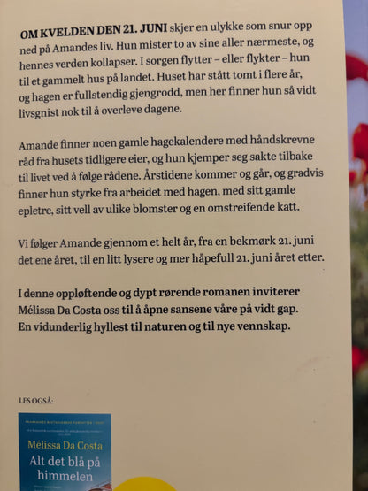 Da Costa, Melissa: Dagene som kommer