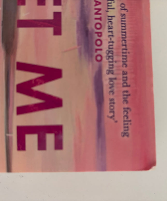 Fortune, Carley: Meet me at the lake