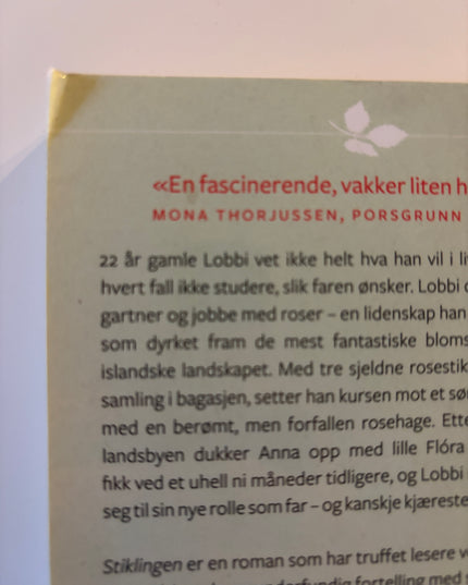 Olafsdottir, Audur Ava: Stiklingen