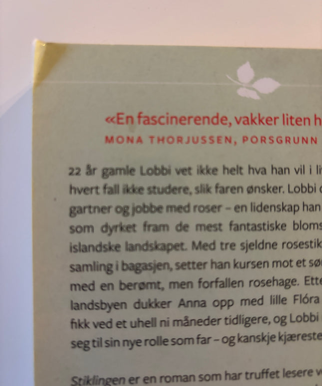 Olafsdottir, Audur Ava: Stiklingen
