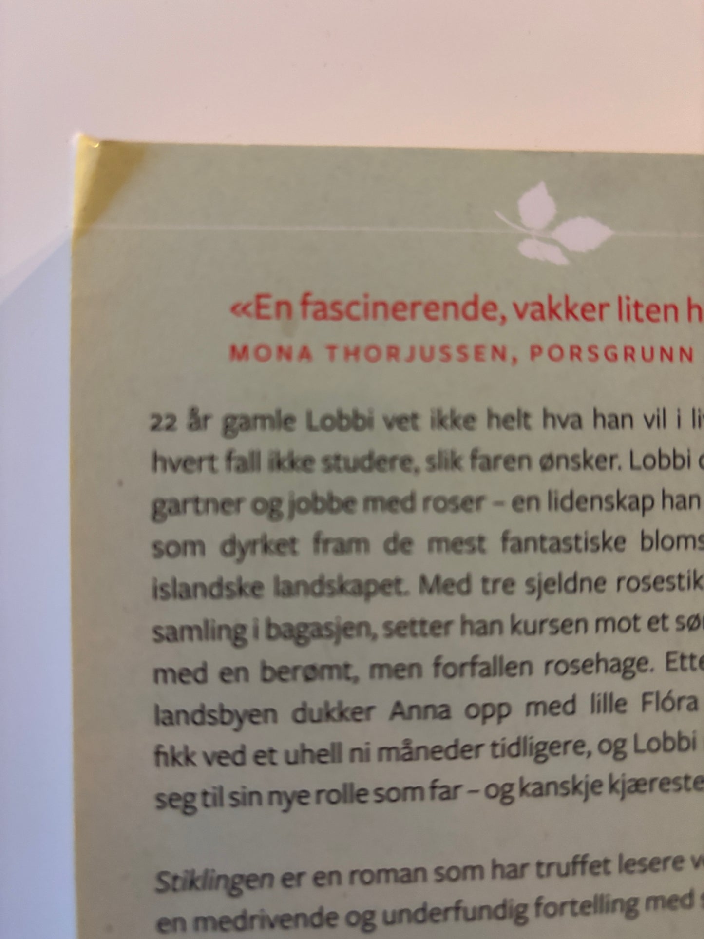 Olafsdottir, Audur Ava: Stiklingen