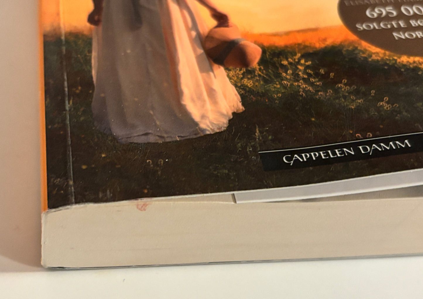 Hammer, Elisabeth: Løfter i sand - Familiehemmeligheten