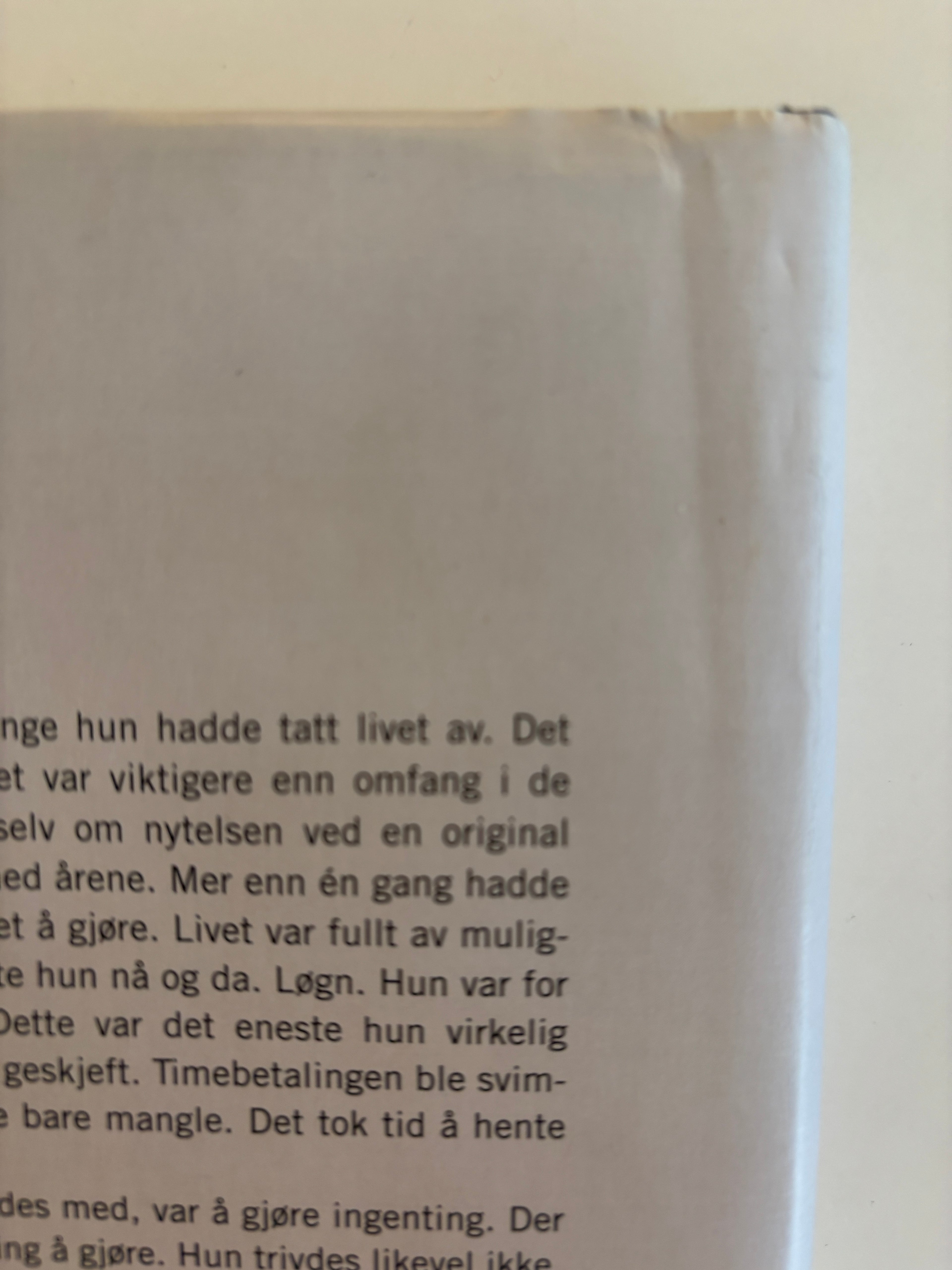 Holt, Anne: Det som aldri skjer