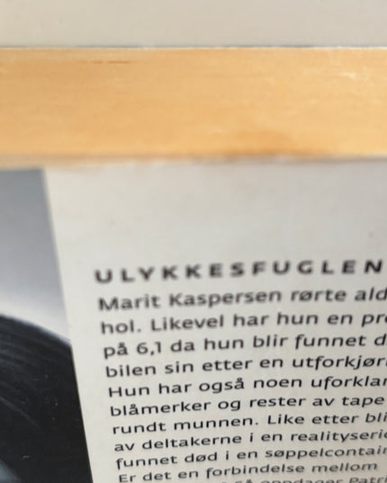 Lackberg, Camilla: Ulykkesfuglen