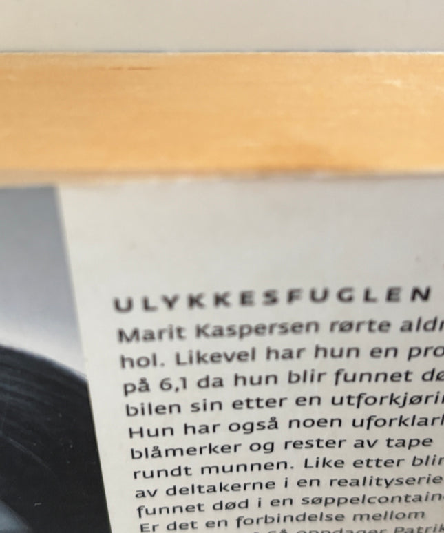 Lackberg, Camilla: Ulykkesfuglen