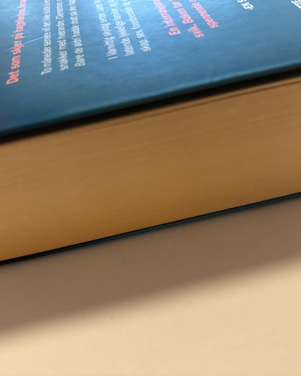 Moriarty, Liane: Vanvittig skyldig