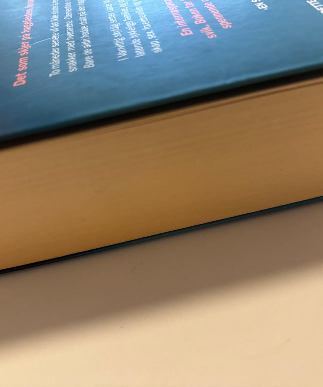 Moriarty, Liane: Vanvittig skyldig