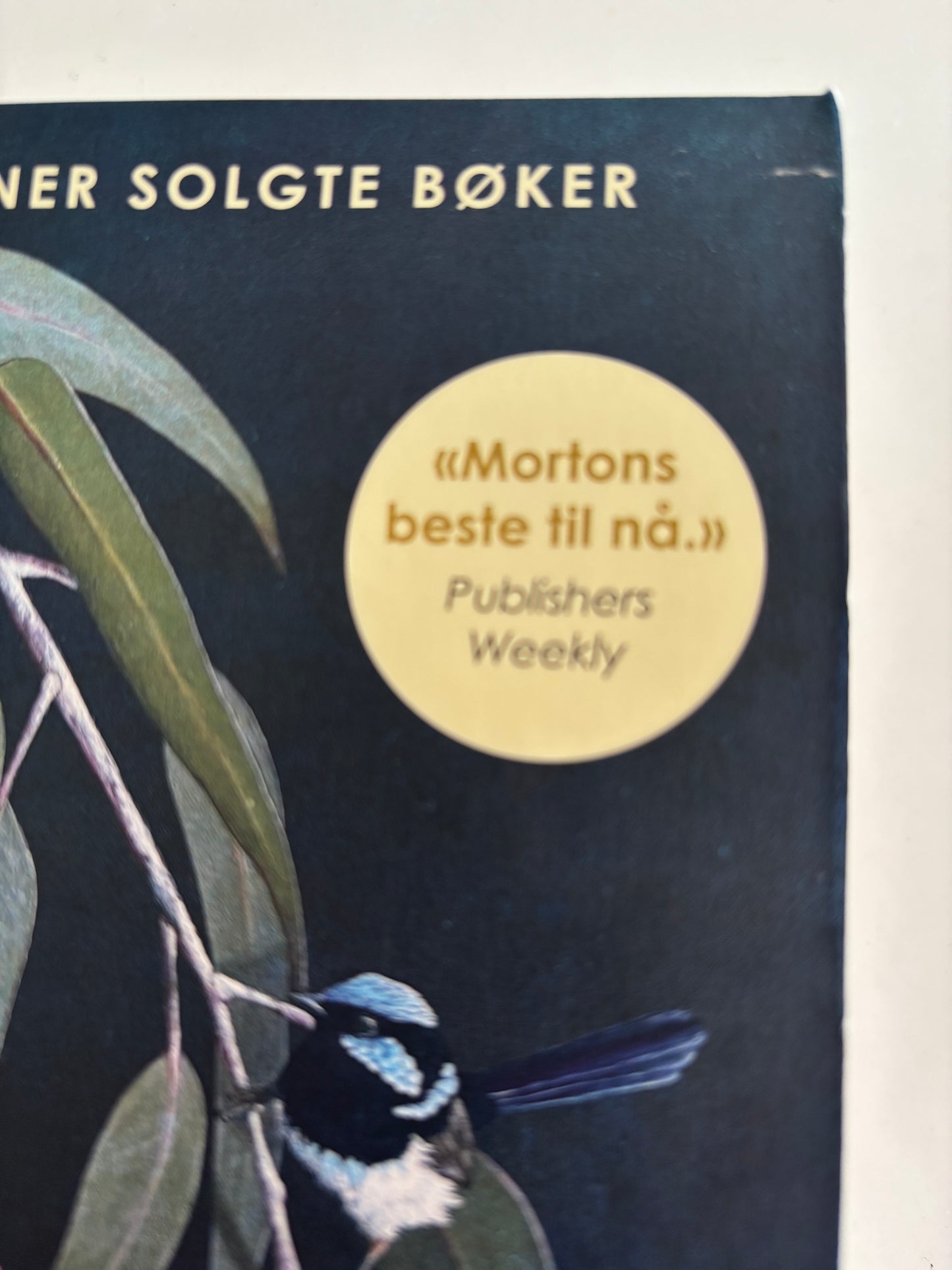 Morton, Kate: Hjemkomst