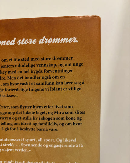 Bjørnstad - Fredrik Backman (innbundet)