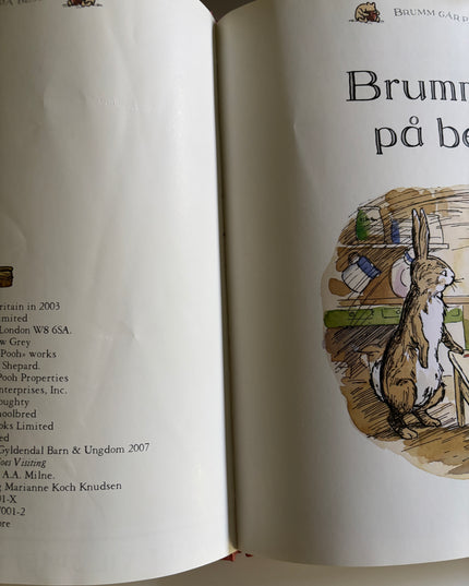 Brumm går på besøk