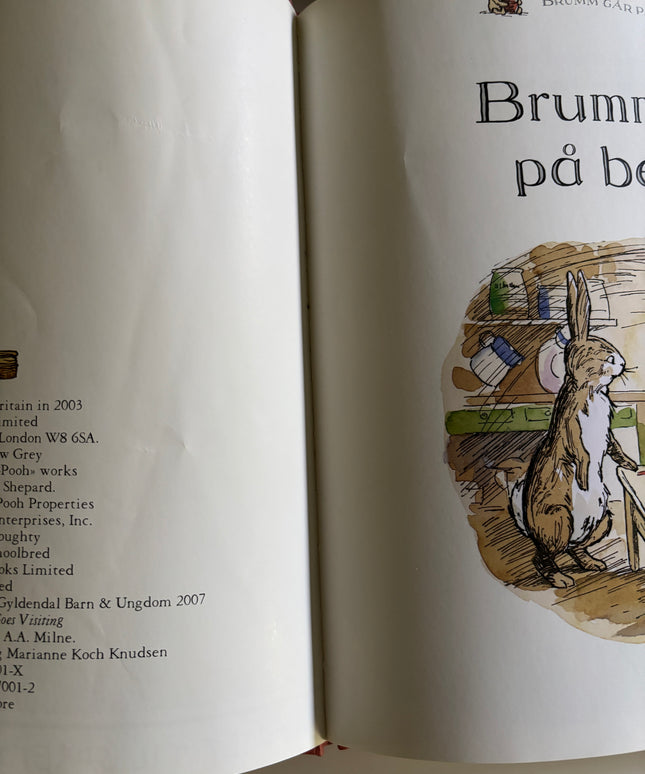 Brumm går på besøk