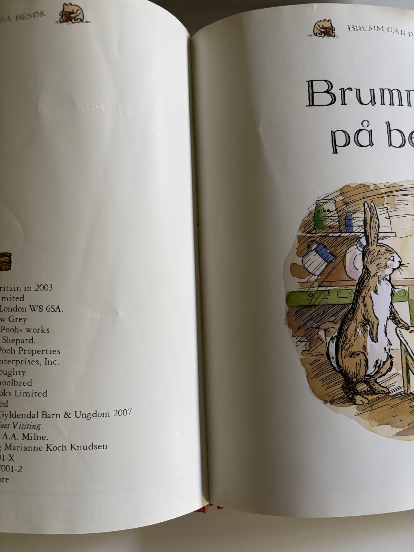 Brumm går på besøk