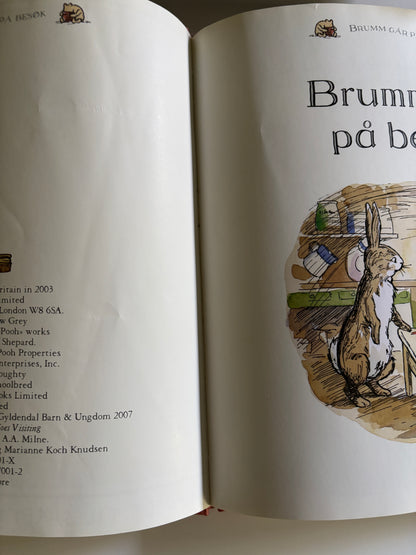 Brumm går på besøk
