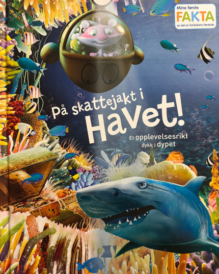 Mine første fakta: På skattejakt i havet