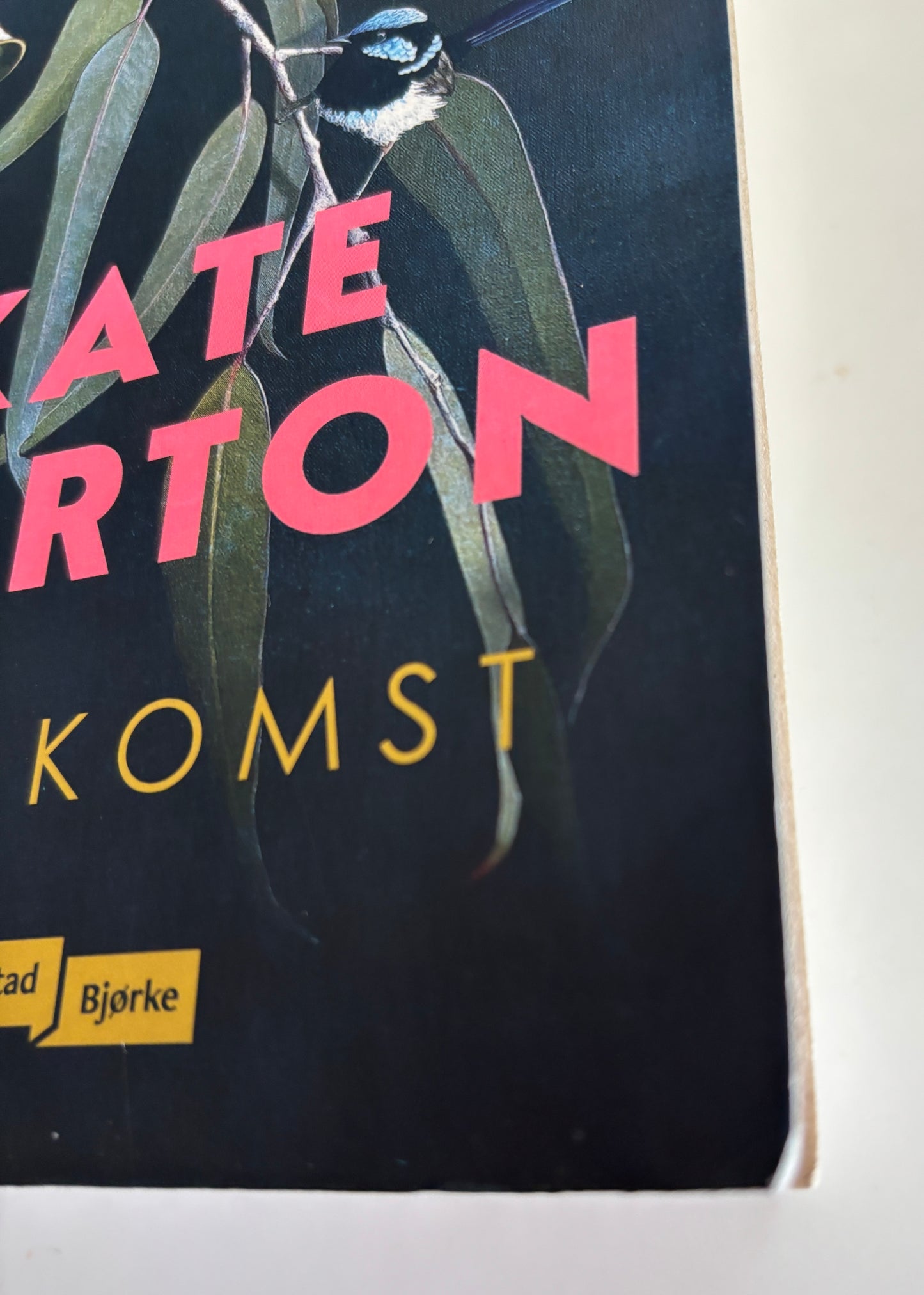 Morton, Kate: Hjemkomst