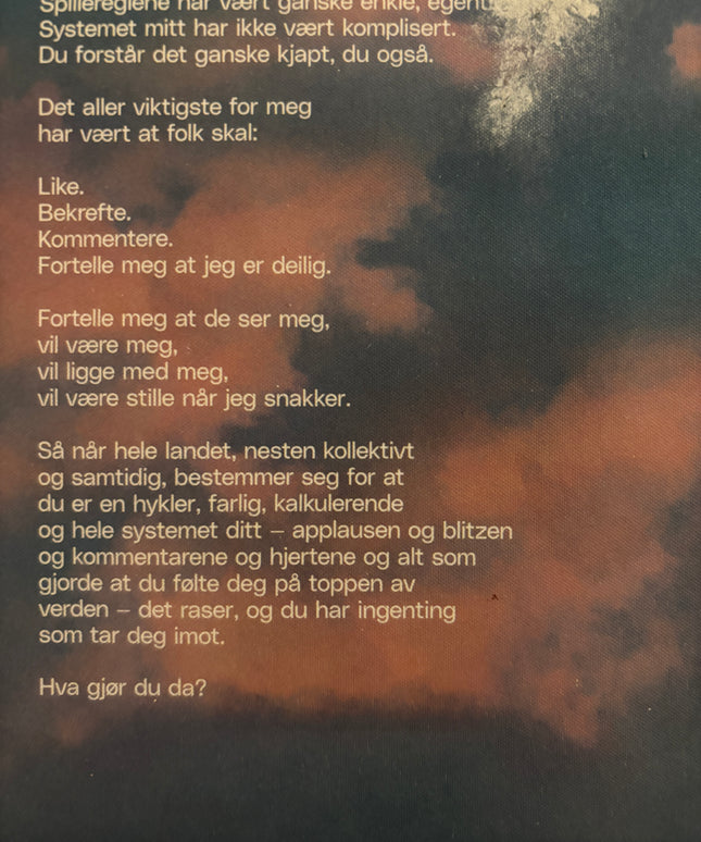Sophie Elise: Ting jeg har lært