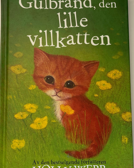 Webb, Holly: Gulbrand, den lille villkatten
