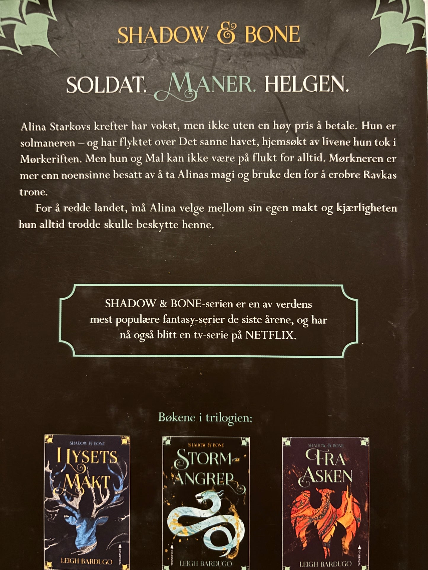 Bardugo, Leigh: Stormangrep - Shadow and bone