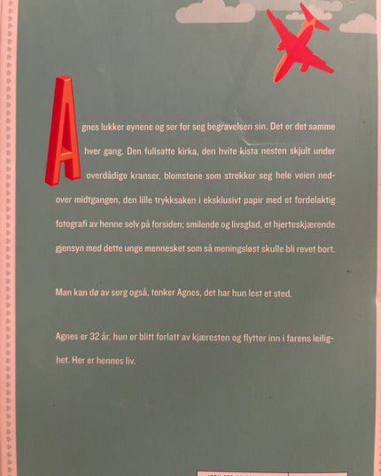 Agnes i senga - Heidi Linde (innbundet)