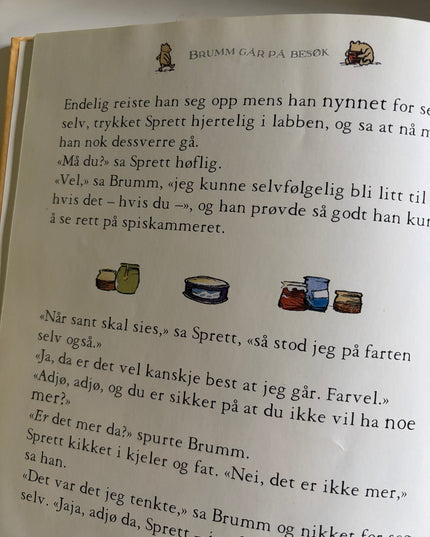 Brumm går på besøk