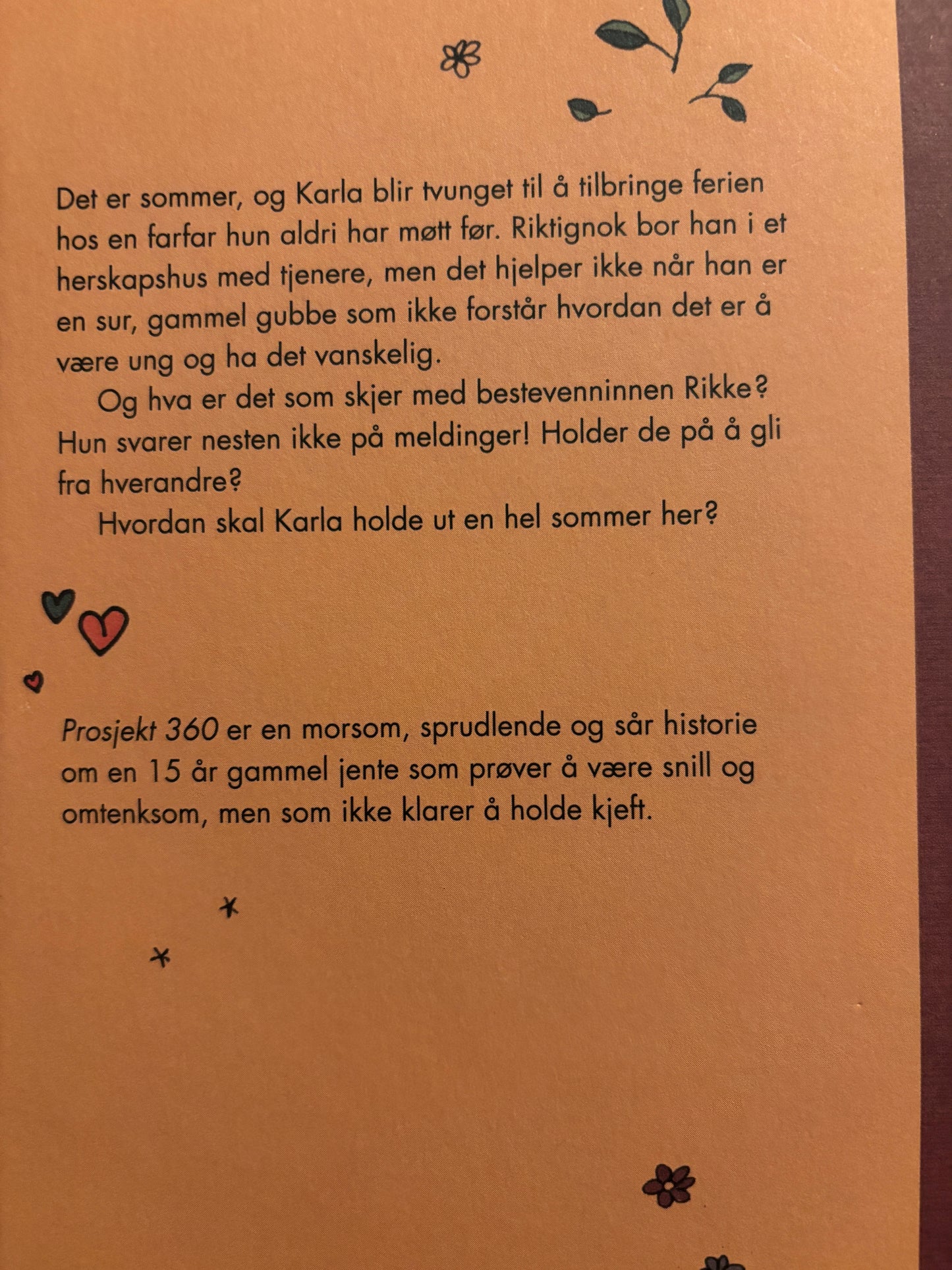 Klepp, Anneli: Prosjekt 360