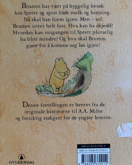 Brumm går på besøk