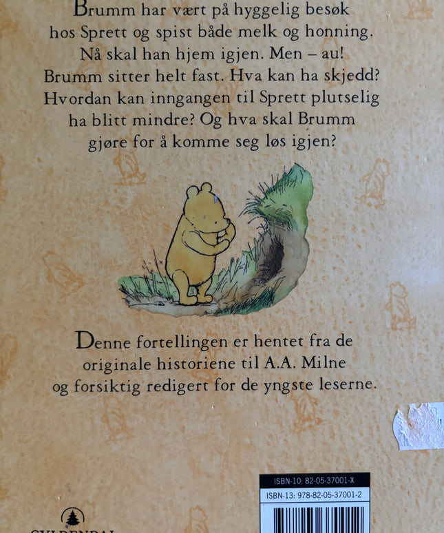 Brumm går på besøk