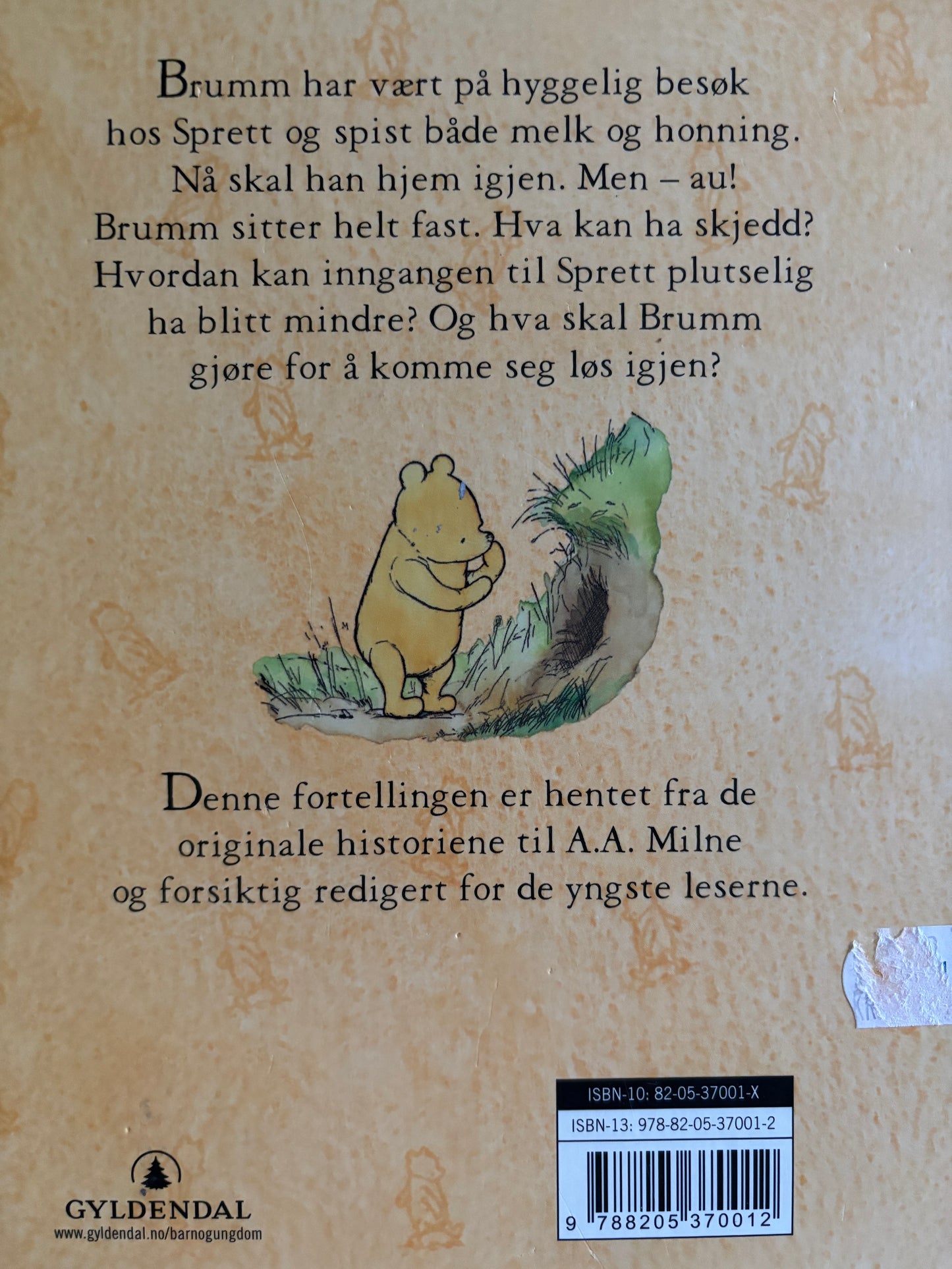 Brumm går på besøk