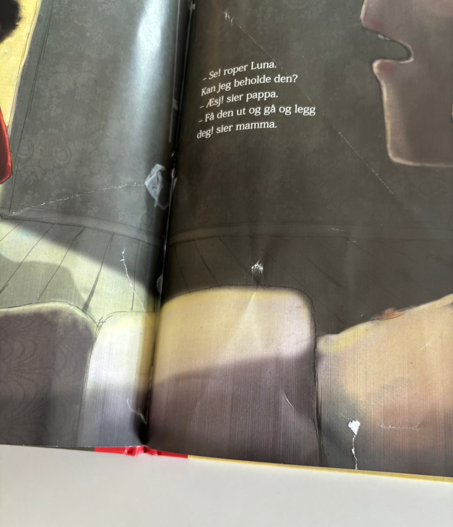 Asaito, Lisa: En fisk til Luna