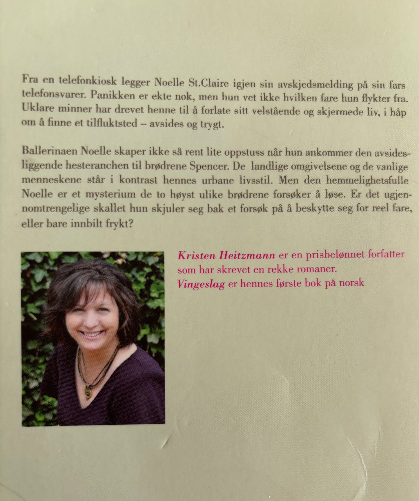 Heitzmann, Kristen: Vingeslag