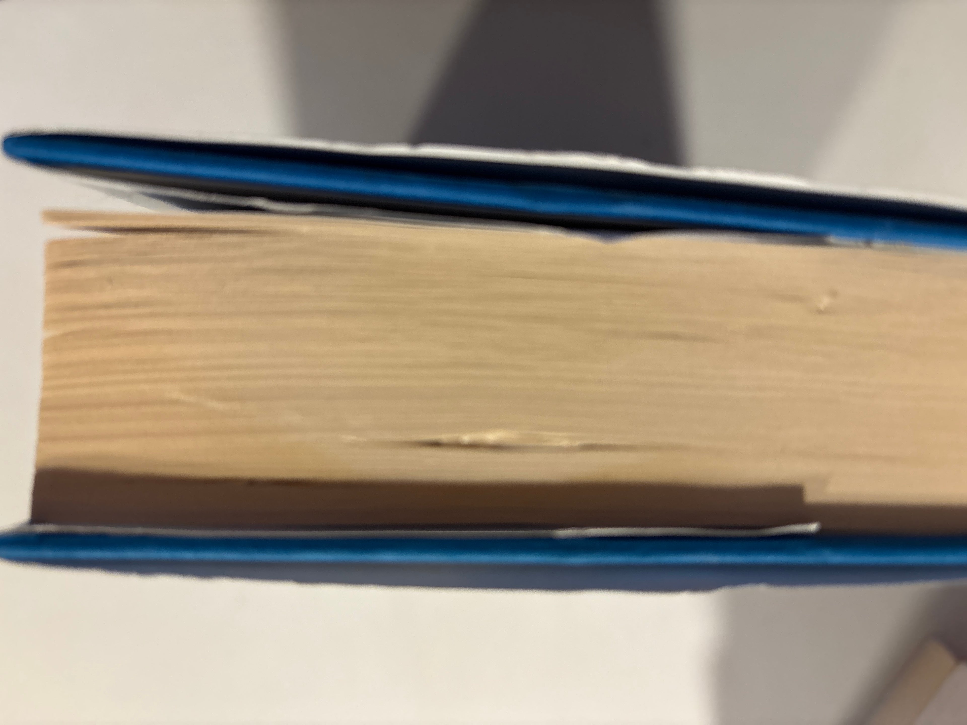 Safstrand, Caroline: Sannheten om Østersjenta