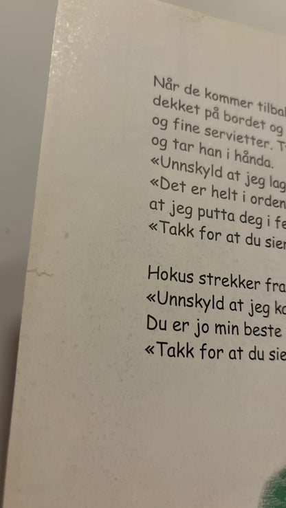 Aamodt, Ingunn: Pulverheksa redder tyven