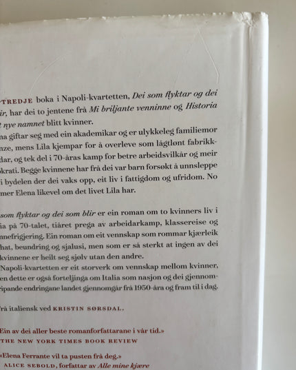 Ferrante, Elena: Dei som flyktar og dei som blir
