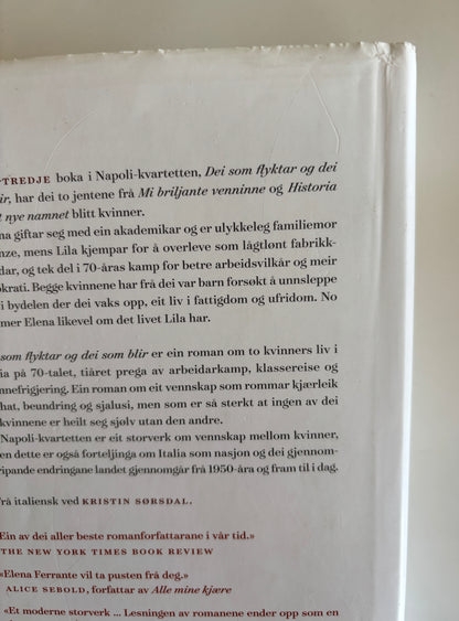 Ferrante, Elena: Dei som flyktar og dei som blir