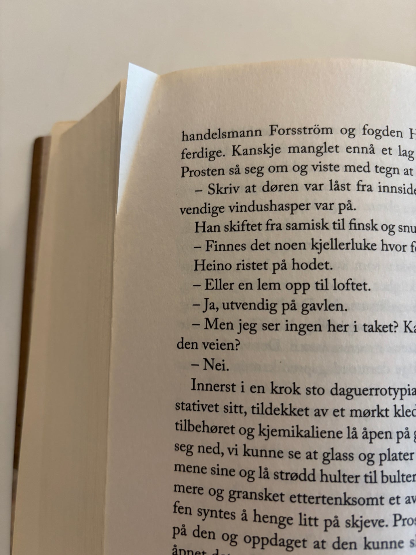 Niemi, Mikael: Koke bjørn