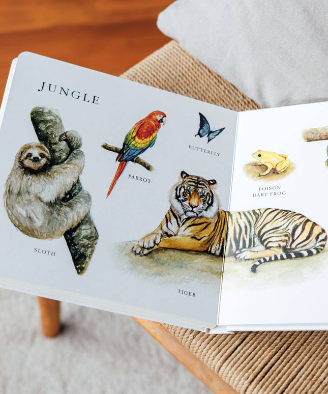 Our Big Book of Animals (Board Book)