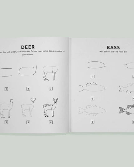Mushrooms & Woodland Creatures: Kids How to Draw Book