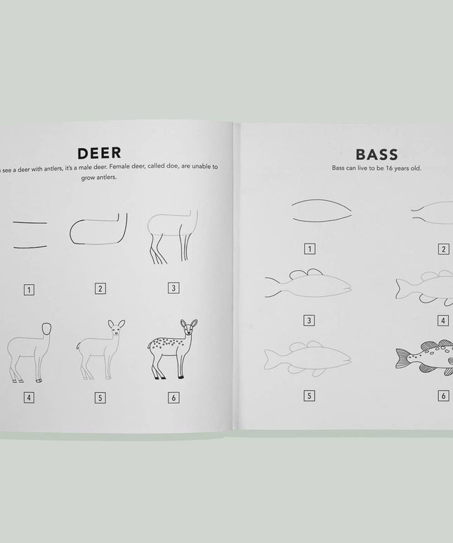 Mushrooms & Woodland Creatures: Kids How to Draw Book