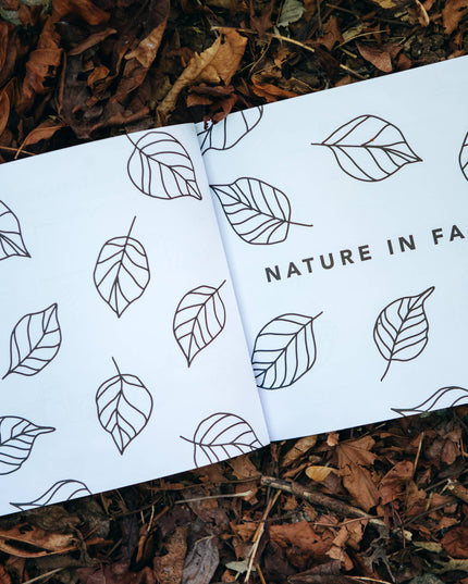 Fall Things: How to Draw Book for Kids with Pumpkins, Scarecrows, Turkeys and More